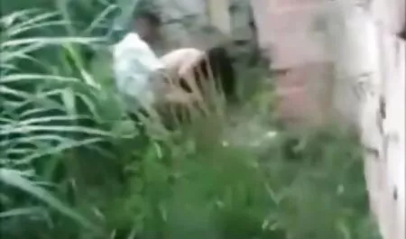 Một cô gái nhỏ thức dậy Hahal với một thổi kèn, và sec dit ba gia đánh anh ta ở háng