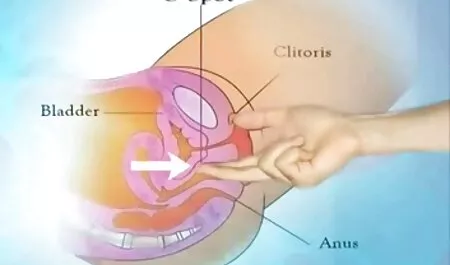 Duyên dáng phin sec ba gia cổ tích trong một giả diễn xuất